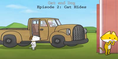 Cat Hides