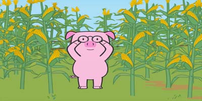 Pig Finds His Friends